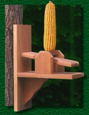 bf_seesaw_2023.jpg